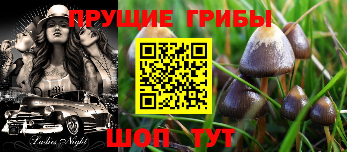 Псилоцибиновые грибы мицелий  Вход с VPN  хочу наркоту  Кыштым 